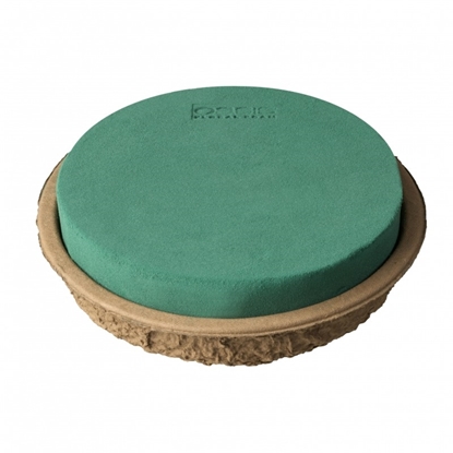 Immagine di OASIS® BIOLIT® Plate 20 cm cf. 2 pz