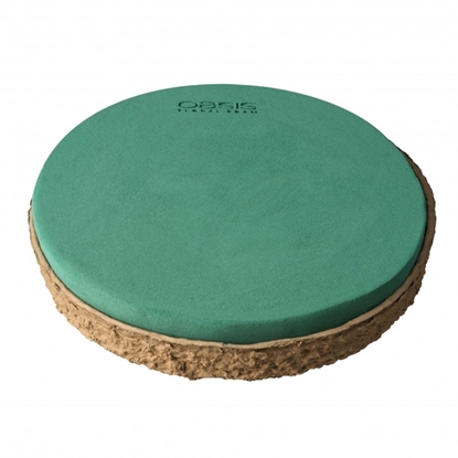 Immagine di OASIS® BIOLIT® Plate 30 cm cf. 2 pz