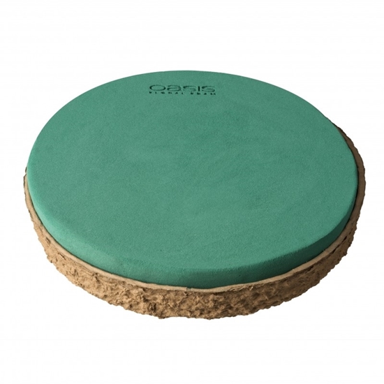 Immagine di OASIS® BIOLIT® Plate 30 cm cf. 2 pz