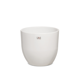 Immagine di CASPO CLASSIC D. 15,5 H 13 WHITE SHINE