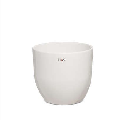 Immagine di CASPO CLASSIC D. 15,5 H 13 WHITE SHINE