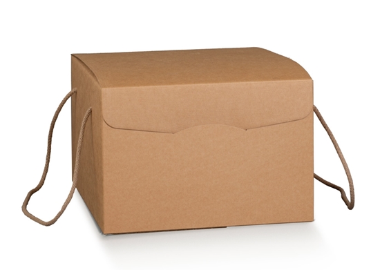 Picture of SEGRETO c. cordini 290x350x195 MM AVANA