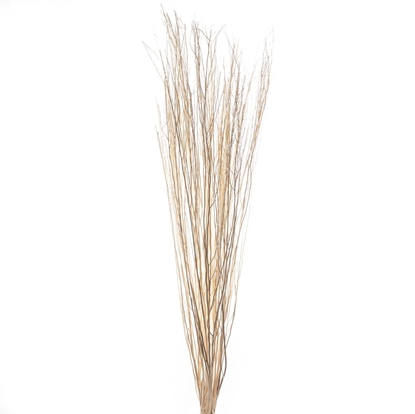 Immagine di WHITE LADY BIANCO 01 SACCHETTO X 20 PZ