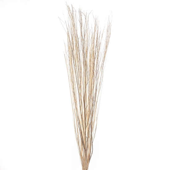 Immagine di WHITE LADY BIANCO 01 SACCHETTO X 20 PZ