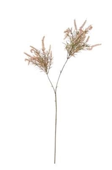 Immagine di VERONICA x 2 H.CM.100