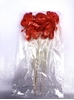 Picture of ORSETTO TEDDY C/ STICK 25 CM ROSSO