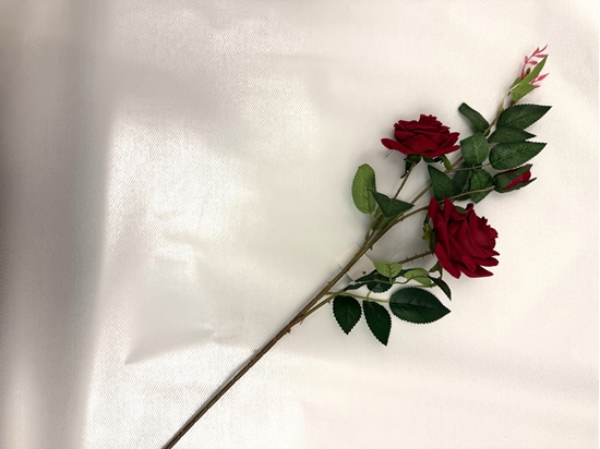 Picture of ROSA VELVET H 80CM 3 FIORI