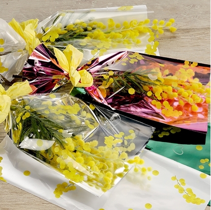 Immagine di SPEZZONI PERL. STAMP. 35 MY 20X40  CF.100 PZ.