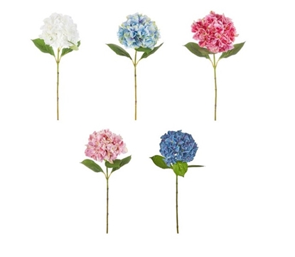 Immagine di ORTENSIA SINGOLA CM.69