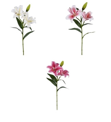 Immagine di LILIUM REAL TOUCH CM.68