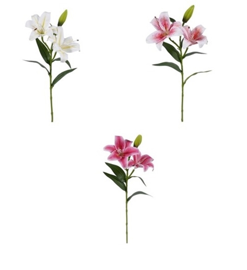 Immagine di LILIUM REAL TOUCH CM.68