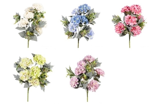 Immagine di BUSH ORTENSIE