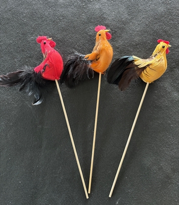 Picture of GALLO con pick