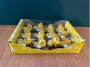 Immagine di PULCINI 5,5 CM C / NIDO (12 PZ )