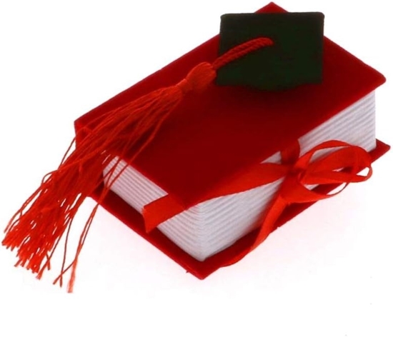 Immagine di Libro velluto rosso tocco nero mis:8x5,5x3,3 cm  cf.12 pz.