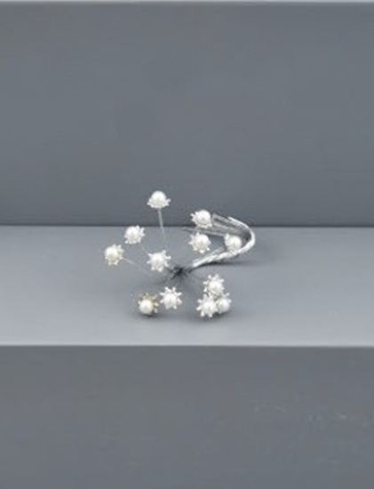 Picture of BUSTA 24PZ SPILLONE PERLINA PC.