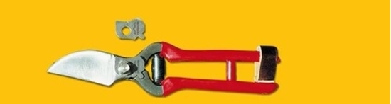 Immagine di FORBICE DA POTA cm. 21 X PL