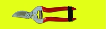 Immagine di FORBICE MULTIUSO INOX VENDEMMIA STRETTE