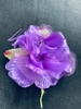 Immagine di PICK PEONIA PISTILLI +FOGLIE GRANDE  CF. 6 PZ.