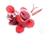 Immagine di FIORE ROSA C/STRASS COL. ROSSO 21 CM