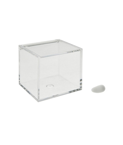 Picture of SCATOLINA PLEX TRASP. 10X10X10 CM.