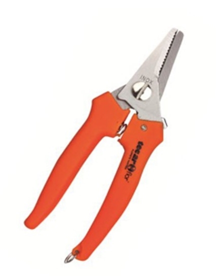 Immagine di FORBICI INOX GIARDINAGGIO 5,5"