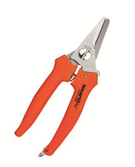 Immagine di FORBICI INOX GIARDINAGGIO 7,5"