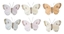 Immagine di FARFALLE MIX COLORI NATURALI CM 8,5 CLIP CF12