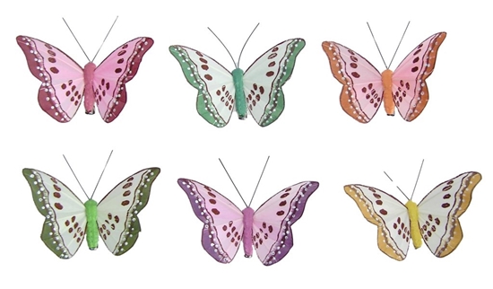 Immagine di FARFALLE 6 MIX COLORI PRIM. CM 8,5 CLIP CF12