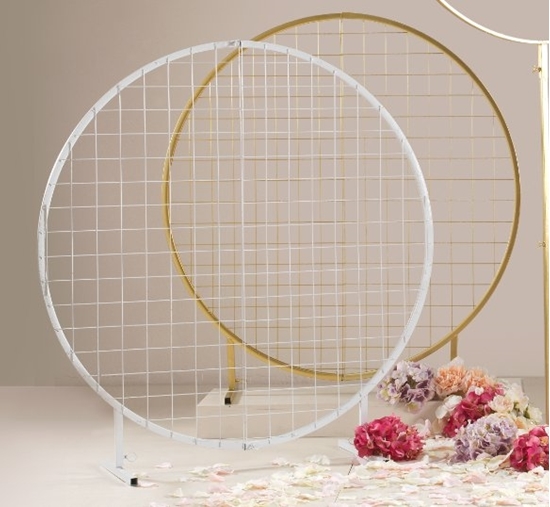 Immagine di CERCHIO D 120 BIANCO C/GRIGLIA