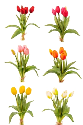 Immagine di BUNDLE TULIPANI NATURAL TOUCH H.CM.30,5