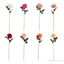 Immagine di ROSA DIAMOND