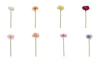 Immagine di GERBERA SINGOLA CM.55