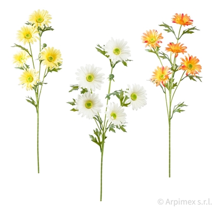 Immagine di TRALCIO 5 MARGHERITE CM.75