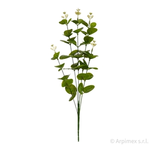 Immagine di EUCALYPTO x 5 NATURAL TOUCH CM.62