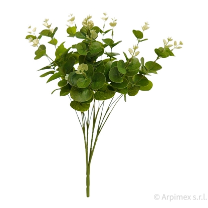 Immagine di EUCALYPTO x 16 NATURAL TOUCH CM.47