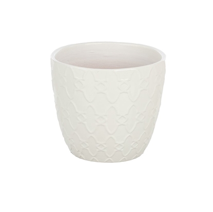 Picture of CASPO' BIANCO D 10 H 9 GRECHE