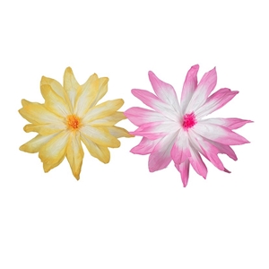 Immagine di FIORI SFUMATI 2 MIX COL D70 CARTA