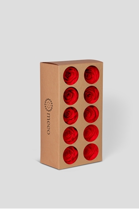 Immagine di ROSA STABILIZZATA COLLECTION BOX DA 10 PZ