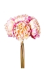 Immagine di BOUQUET PEONIA X 6 F. H. CM 38