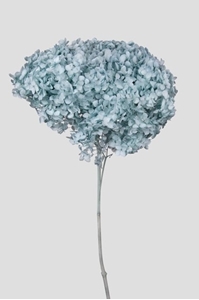 Picture of BOUQUET NOUR FIORI MIX STABILIZZATI