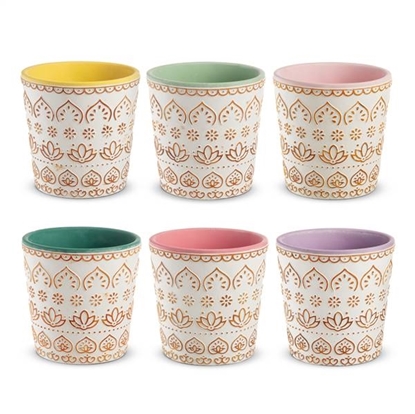 Picture of CASPO' EOLIE D. 13,5 H 14 - ASSORTED COL.