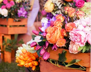 Immagine per la categoria Fiori Artificiali                                           