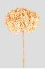 Immagine di ORTENSIA STABILIZZATA BIG LEAF