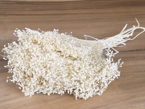 Picture of BROOM BLOOM BIANCO 01 SACCHETTO X 100 GR