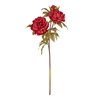 Immagine di PEONIA x 3 CM.75