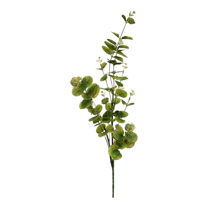 Immagine di EUCALYPTO x 10 NATURAL TOUCH CM.90