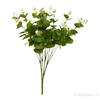 Immagine di EUCALYPTO x 16 NATURAL TOUCH CM.47