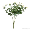 Immagine di EUCALYPTO x 16 NATURAL TOUCH CM.47