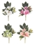 Immagine di FRONTALE 3 PHALAENOPSIS CM.33